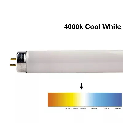 Buy BELL T5 Fluorescent Tubes Strip Light Bulbs 4W 6W 8W 13W - Cool / Standard White • 4.49£