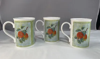 Buy Set Of 3 Royal Grafton Fine Bone China Made In England Cups Mugs For Tea Coffee • 9.44£