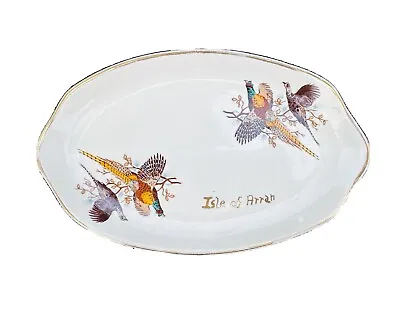 Buy Isle Of Arran Pheasant Ceramic Plate West Highland Pottery Scotland Collectable • 6.95£