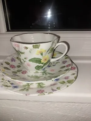 Buy Queens Cup And Saucer Fine Bone China Country Meadow Trio • 10£