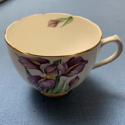 Buy Duchess  Iris  Fine Bone China Tea Cup ONLY, Made In England • 9.64£
