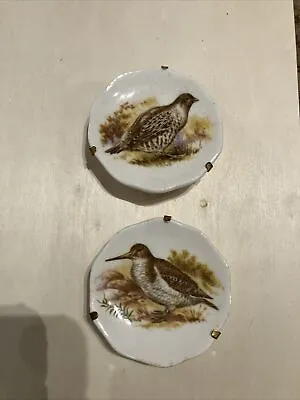 Buy Dolls House Miniature Vintage Bird Bone China  Plates • 9£