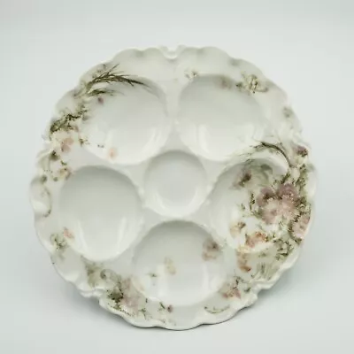 Buy Antique French Porcelain Oyster Plate By Haviland & Co Limoges • 124.50£