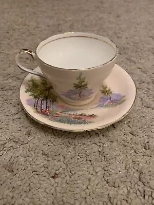 Buy Aynsley Bone China Orchard River Gilded Cup And Saucer Stamped Good Condition • 26£