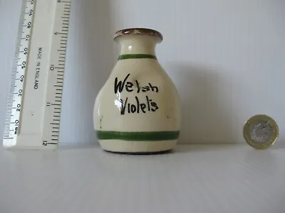 Buy Rare Vintage Welsh   Violets  Devon Ware Scent Perfume Bottle • 24.99£