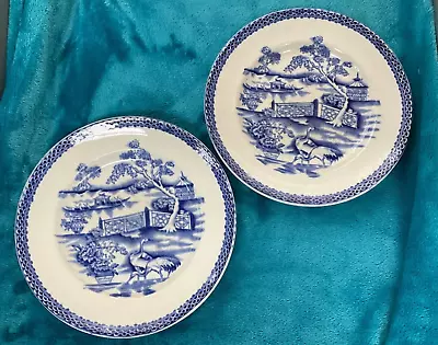 Buy Antique Victorian Clyde Burslem Blue & White Plates Thomas Till & Sons Pair 8in • 14£