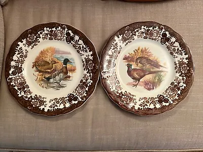 Buy Royal Worcester Palissy Game Series Dinner Plates 25 Cm Mallards And Pheasant • 5£