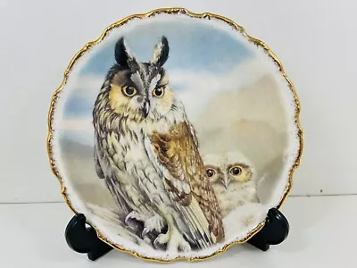 Buy Bone China Royal Vale Long Eared Owl Themed Collectors Plate • 4.99£