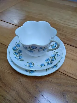 Buy Staffordshire Bone China Bluebell Cup, Saucer And Tea Plate Set • 15£