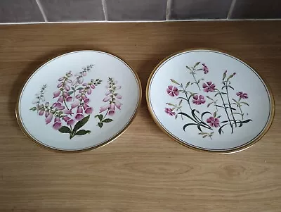 Buy Vintage Spode Wild Flowers No2 & No5. Bone China Collectable Plates Gc. • 39.99£