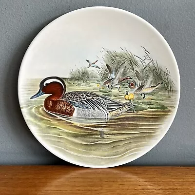 Buy Poole Pottery Transfer Duck Plate John Gould Garganey  • 5£