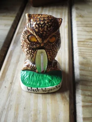 Buy Vintage Owl Thermometer  Manor Ware West Wycombe Hand Painted Amber Eyes • 5.25£