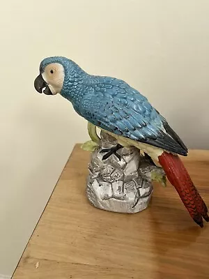 Buy China Parrot Ornament • 0.99£