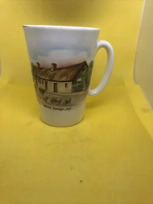 Buy SHELLEY China Cup Burns Cottage, Ayr • 4.99£