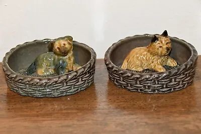 Buy Wade Alsation & Cairn Terrier Dog Puppies In China Baskets • 7£