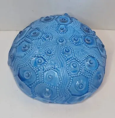 Buy Robin Lehman Sea Urchin Blue Glass Art Paperweight Decorative Ocean Color Defect • 18.97£