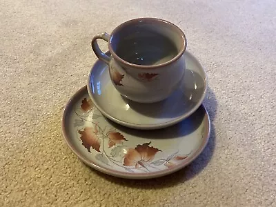 Buy Vintage Denby  Autumn Leaves Twilight Design Cup Saucer & Side Plate • 5.49£