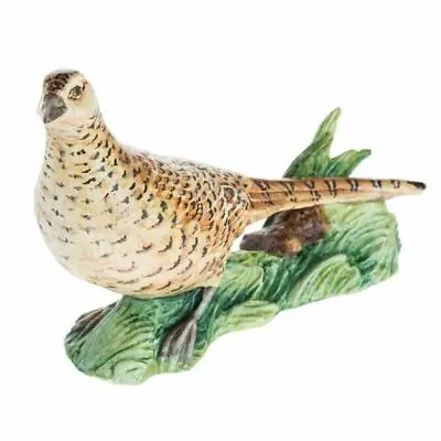 Buy John Beswick Figurine - Hen Pheasant - New In Gift Box - JBB36 • 29.95£