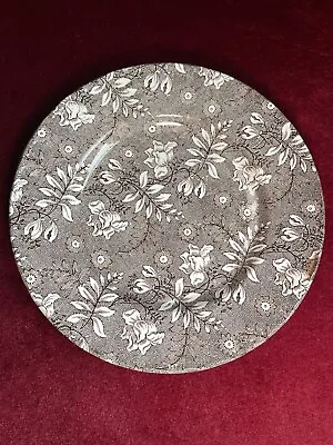Buy Royal Tudor Velvet By Grindley, England Tea/Salad/Luncheon Plate 8 Inches  • 4.99£