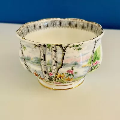 Buy Vintage Royal Albert Bone China SILVER BIRCH Mini Open Sugar Bowl • 8.50£