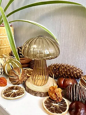 Buy Beige Glass Mushroom Bud Vase Ornament, Boho Hippie, Home Decor Plant Cubby • 8.50£