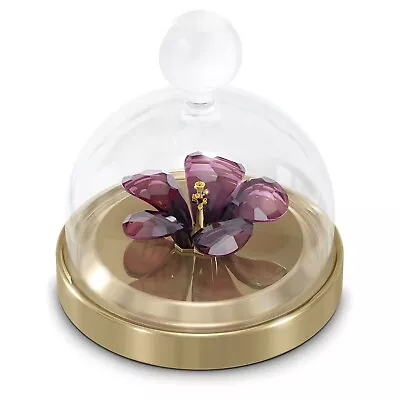 Buy Swarovski Crystal Wonderful Garden Tales  Hibiscus Bell Jar  5619224 Free Post • 90£