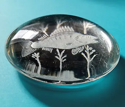 Buy Glass Paperweight With Fish Image Engraved / Etched Underneath. • 3.50£