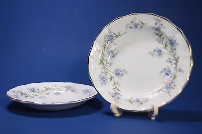 Buy Vintage Duchess TRANQUILITY Bone China  Plates - 2 Pieces -  England • 13.59£