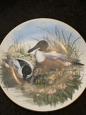 Buy Fenton China The Wildfowl Series No. 6 Shoveller “Ducks”by John Gould 8.5  Plate • 5£