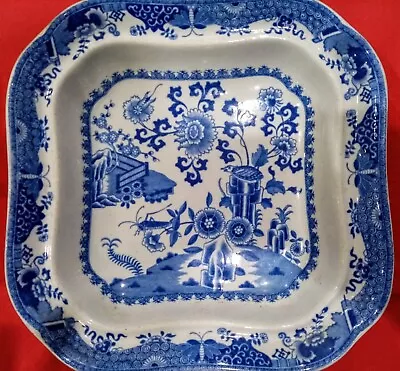 Buy Antique Blue White Spode C1812-20 Square Dish Platter Grasshopper Stone China  • 54£