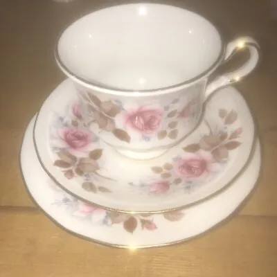 Buy Vintage Bone China Tea Service Queen Anne. Cup Saucer And Plate. Floral • 12.49£