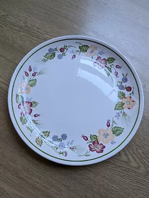 Buy Vintage Biltons/Woolworths Country Lane Dinner Plates 9 3/4  To 9 7/8  Excellent • 7.50£