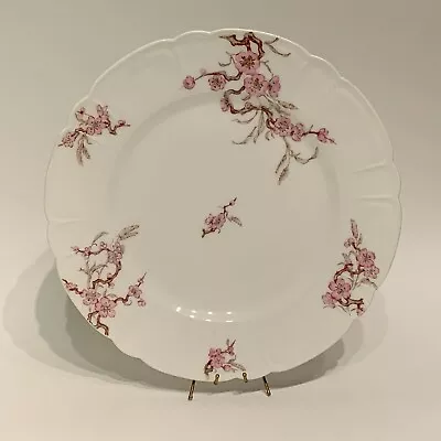 Buy Haviland & Co. Limoges Pink Flowers Porcelain Dinner Plate 9.5  Schleiger 222E • 38.42£