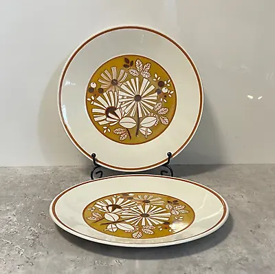 Buy Vintage Plates X 2 - JG MEAKIN Studio Shangri La Pottery Retro - 22.5cm 9  1960s • 14.40£