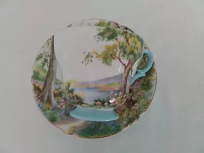 Buy Shelley Woodland Cup And Saucer • 6.99£