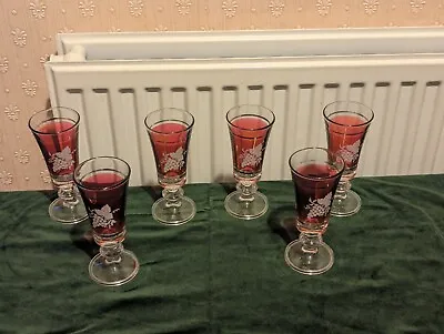 Buy 6 Bohemian Cranberry Glasses Grape & Vine Design Vodka Gin • 35£