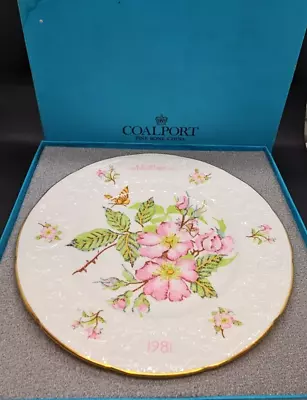 Buy Coalport Decorative Bone China Plate 'Mother 1981' Wild Rose Victorian Sampler • 9.99£