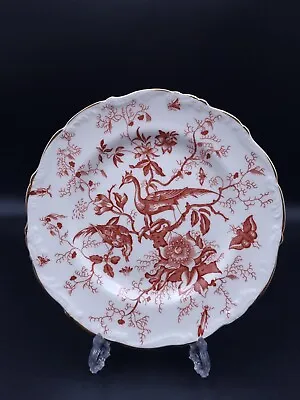 Buy Coalport 'Cairo-Red' Gold Edge Side Plate-Seconds • 15.90£