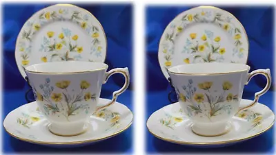 Buy Vintage Colclough PAIR Of China Cup Saucer Plate Trios, Pattern Angela FREE Post • 16.50£