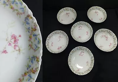 Buy 6 Antique Limoges Berry Desert Bowl France China Schleiger Bluebell Pink Flowers • 23.67£