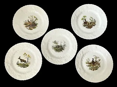 Buy Queens Rosina China Co Fine Bone China England Wildlife Salad Plates Set Of 5 • 81.52£