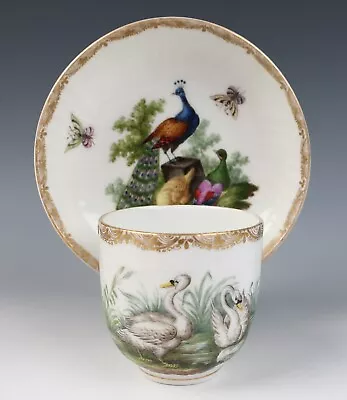 Buy Antique KPM Berlin Cup & Saucer Birds Insects Gold 19th C. German Porcelain #C • 307.88£