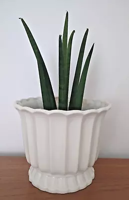 Buy Vintage Mid Century Casa Pupo London White Plant Pot Planter Jardiniere 60s 70s • 25£