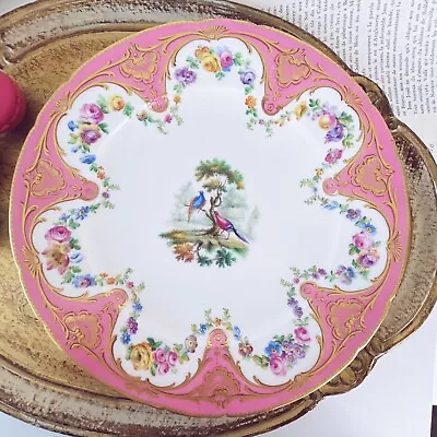 Buy Antique Sevres Style French Porcelain Plate Pink Handpainted Fancy Birds Flowers • 295£