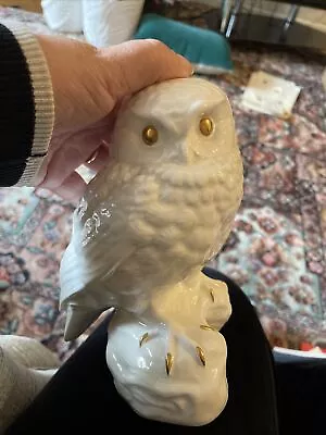 Buy Poole Pottery WHITE Owl In Excellent Condition • 0.99£