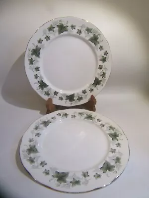 Buy Duchess Ivy - 10,1/4  Dinner Plates. • 14.95£