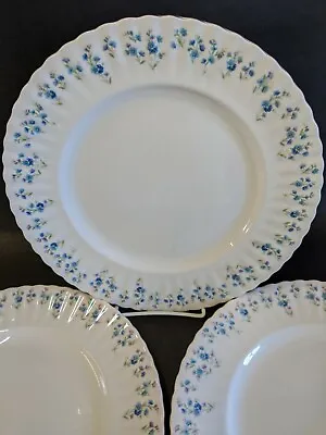 Buy 3 Vintage Royal Albert Dinner Plates 26cm Pattern Memory Lane Bone China Vgc   • 52.17£