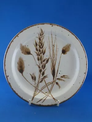 Buy Midwinter Stonehenge Wild Oats Pattern7  Plate In Excellent Condition • 5£