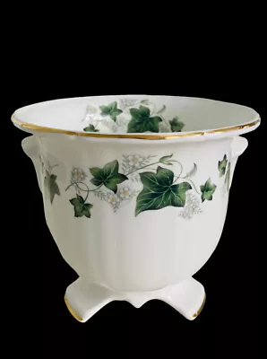 Buy Vintage Duchess Ivy Bone China Flower Pot Planter Jardiniere Rare • 18.99£