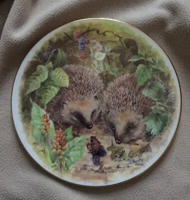 Buy Royal Grafton European Animals Hedgehog Collectable Plate • 4£